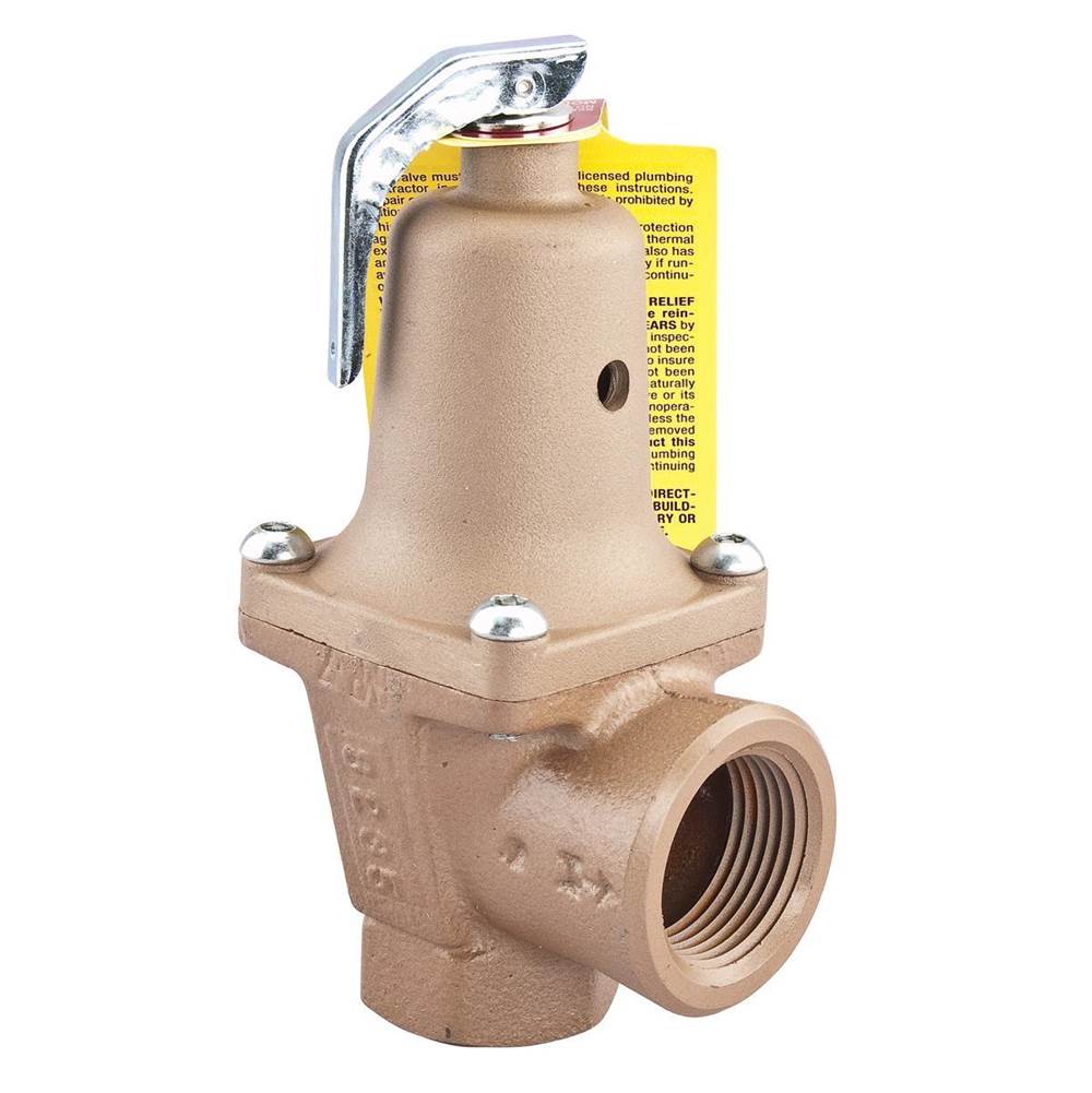 Watts 2 In Iron Boiler Pressure Relief Valve, 35 psi, Expanded Outlets