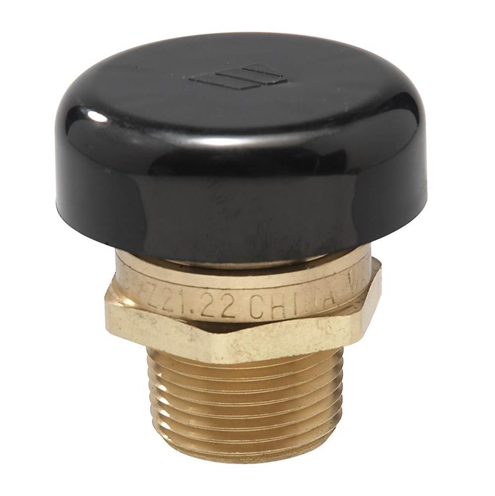 Watts 1/2 IN Lead Free Brass Vacuum Relief Valve, Male NPT, Protective Cap